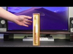 성인들 청소년을 위해 방수된 재충전이 가능한 호출중 전동 치솔 IPX7